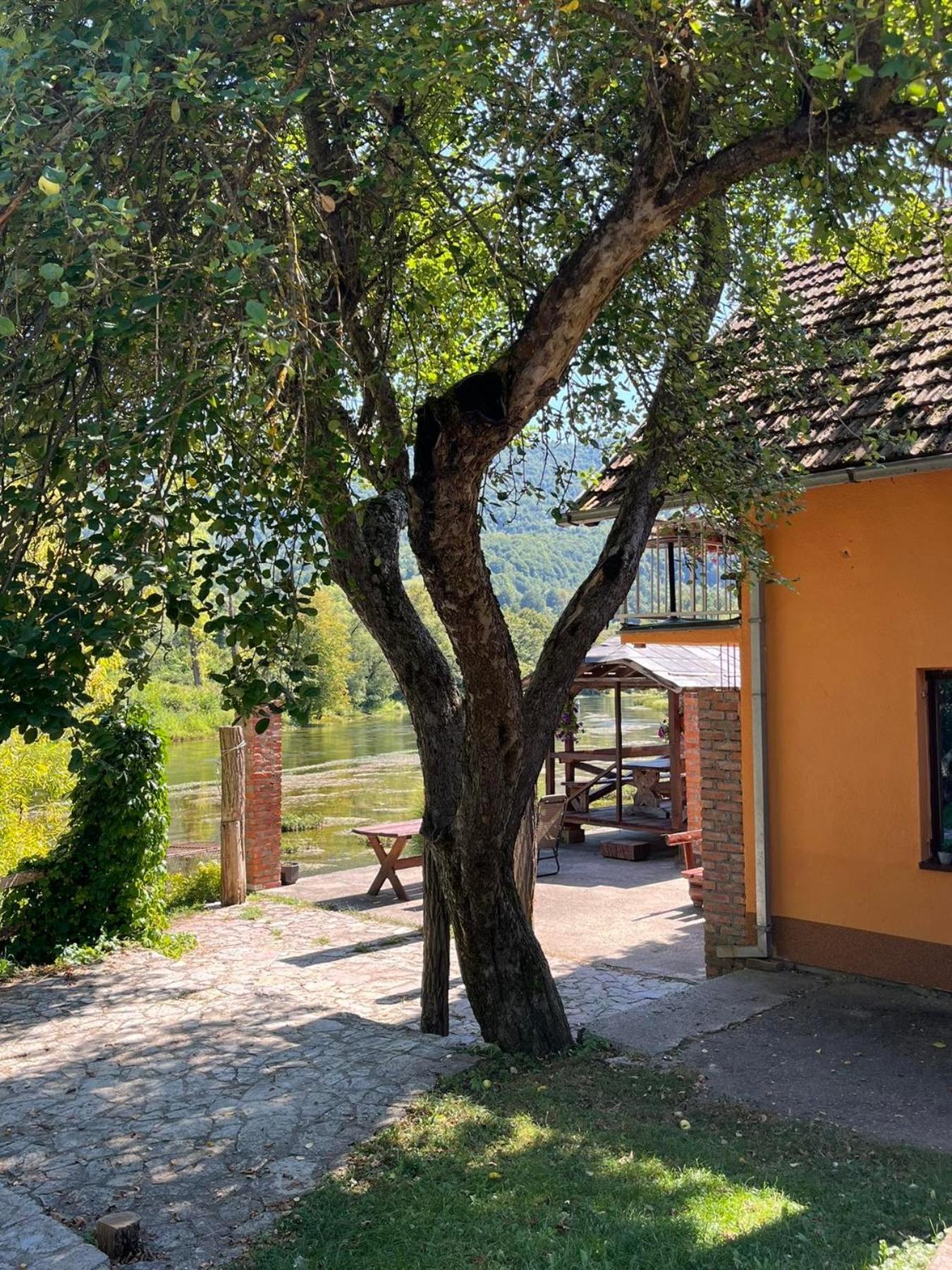 Bed And Breakfast Family Djukic Sipovo Exterior foto