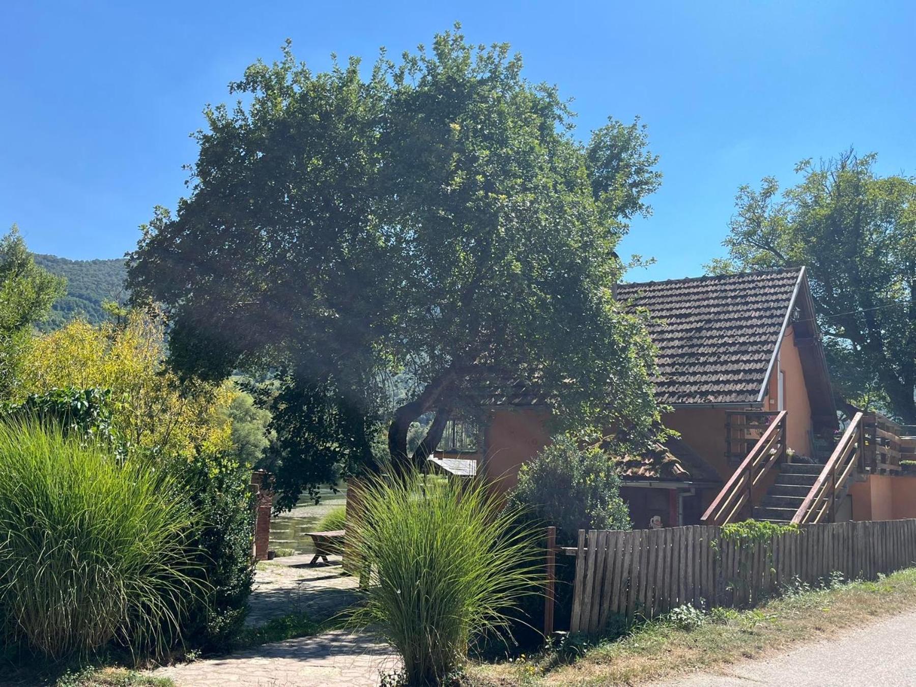 Bed And Breakfast Family Djukic Sipovo Exterior foto